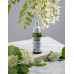 Serums Augu kolagēns 30ml