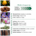 Puro Muschio Parfimērijas eļļa Roll-On 10ml