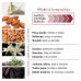 Dolce Muschio Roll-On parfimērijas eļļa, 10 ml